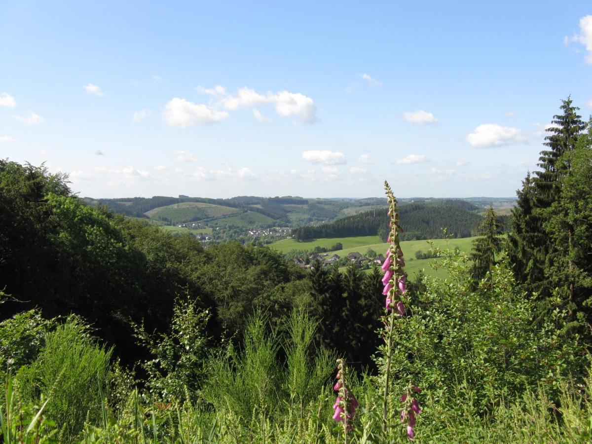 Urlaub Im Naturgarten Διαμέρισμα Bergneustadt Εξωτερικό φωτογραφία