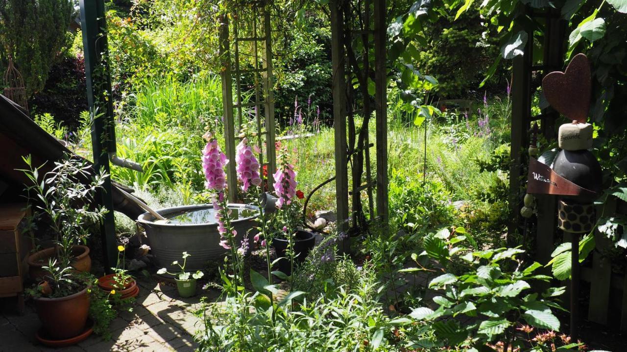 Urlaub Im Naturgarten Διαμέρισμα Bergneustadt Εξωτερικό φωτογραφία